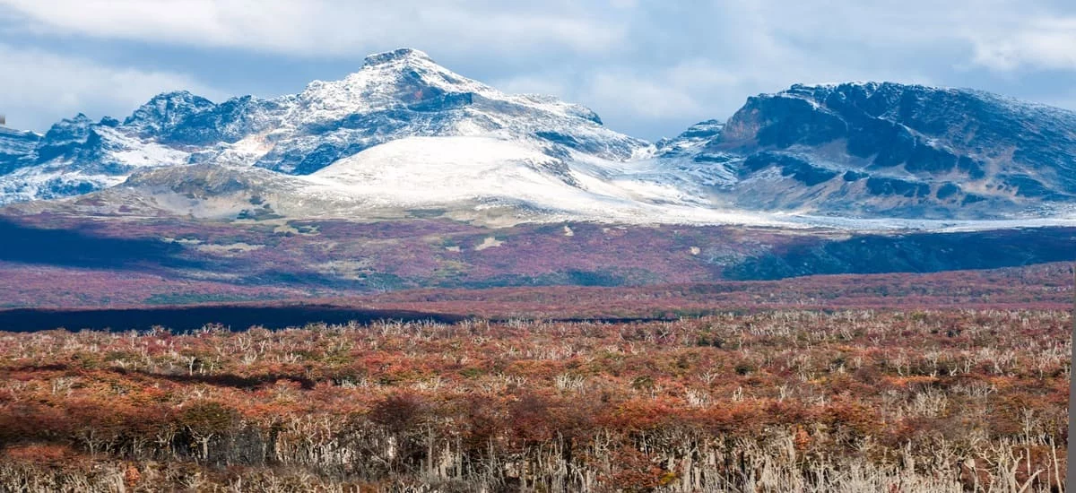 Buy Land in Argentina